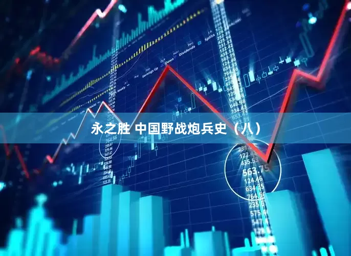 永之胜 中国野战炮兵史（八）