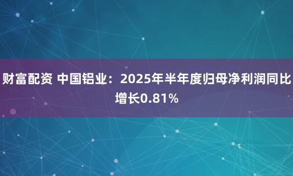 财富配资 中国铝业：2025年半年度归母净利润同比增长0.81%