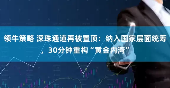 领牛策略 深珠通道再被置顶：纳入国家层面统筹，30分钟重构“黄金内湾”